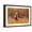 Brown Frame, variant on Art.com Cute Red Fox, Vulpes Vulpes in Fall Forest. Beautiful Animal in the Nature Habitat. Wildlife Scene Stretched Canvas Print Wall Art, 36" x 24"