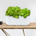 thumbnail image 1 of Self Watering Planter Smart Hydroponic Growing System Indoor Garden for Home Vegetables, 1 of 7