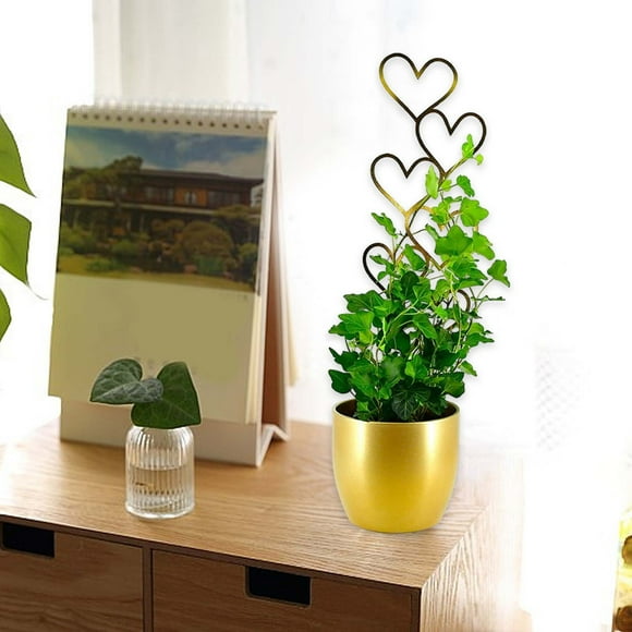 Dvkptbk Shelf Shelf Iron Garden for Climbing Plants Rust-Proof Small for Indoor Potted Plants Love Round Circle Metal Plant Support Home Decoration
