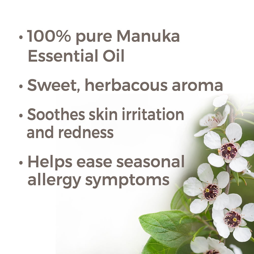 Plant Therapy Manuka Essential Oil 5 mL (1/6 oz) 100% Pure, Undiluted, Therapeutic Grade