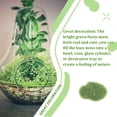 thumbnail image 4 of Wosthever Adorno de terrario Rainforest Diorama Supplies Faux Moss Enchanted Semi-handmade Floral Surtido Green-cover Decoración del hogar Nº 70 5*7cm, 4 of 6