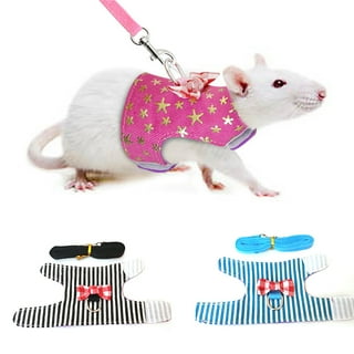 Dwarf clearance hamster leash