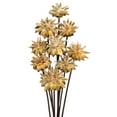 thumbnail image 2 of Vickerman 20" Natural Plumosum Head attached to a Brown Stem, 9 stems, Dried, 2 of 4