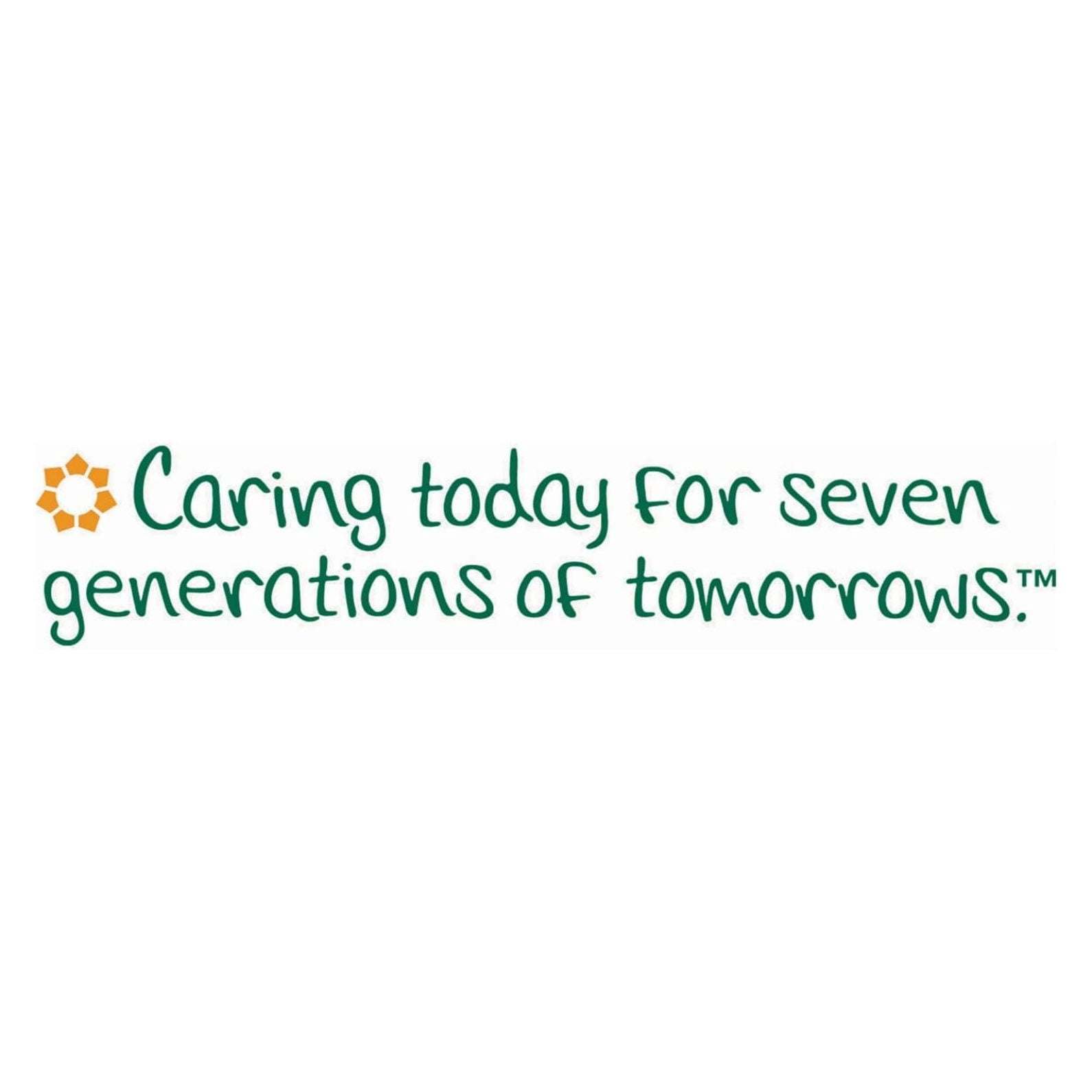 Seventh Generation 13739PK 100% Recycled Paper Towel Rolls, 2-Ply, 140 /, 8 /PK