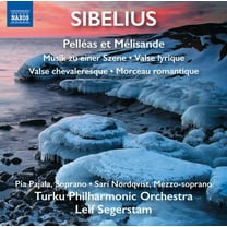 Sibelius / Pajala / Turku Philharmonic Orchestra - Orchestral Works - Music & Performance - CD
