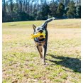 thumbnail image 3 of Multipet Smiling Loofa Dog, Plush & Latex Banana Dog Toy, 3 of 9
