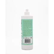 Rebel Green Super Deluxe Dish Soap - Natural Dishwashing Soap - Liquid Dish Detergent - Sustainable Dish Liquid Scented with Frankincense & Pine - (16oz 2-Pack)