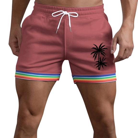 CONZONE Mens Casual Shorts Elastic Waist Summer Shorts for Men Hawaii Graphic Y2K Lightweight Loose Fit Vacation Beach Shorts With Pockets