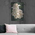 thumbnail image 6 of Luxe Metal Art 'Redolent' by Barbara Keith, Metal Wall Art, 24"x36", 6 of 9