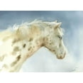 thumbnail image 2 of Pete, Katrina 14x12 White Modern Wood Framed Museum Art Print Titled - Dapple Gray Horse, 2 of 4
