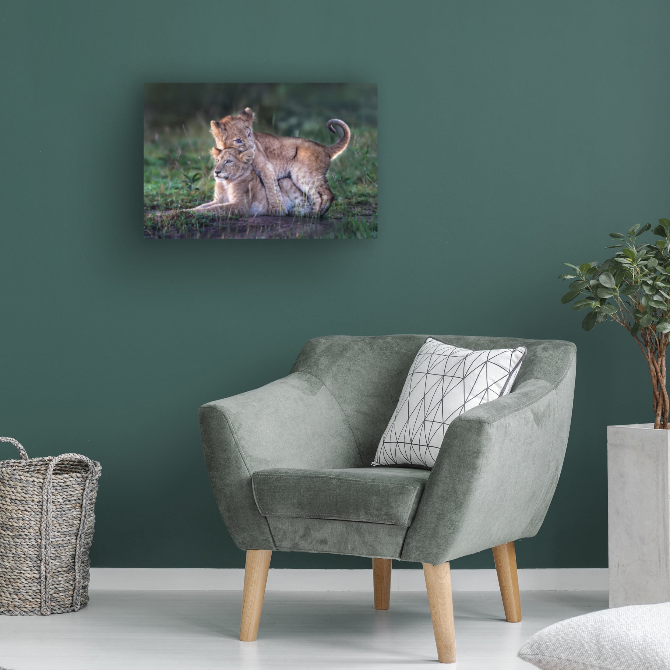 Trademark Fine Art Xavier Ortega Playful lion cubs Canvas Wall Art