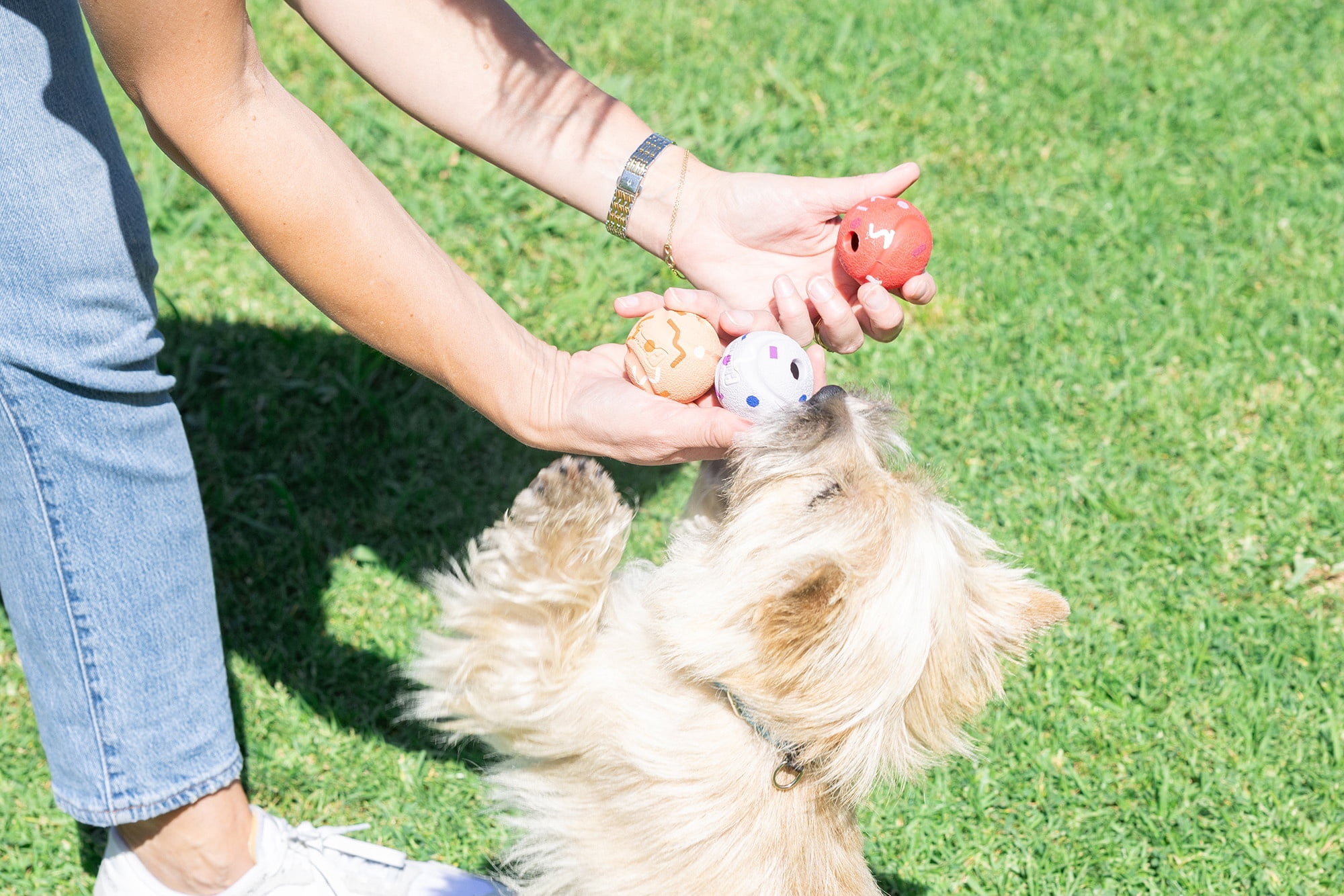 Chuckit! Birthday Fetch Medley Dog Balls, Small 2", Pack of 3 – Birthday‑Scented Rubber Fetch Toys for Dogs Up to 20 lb