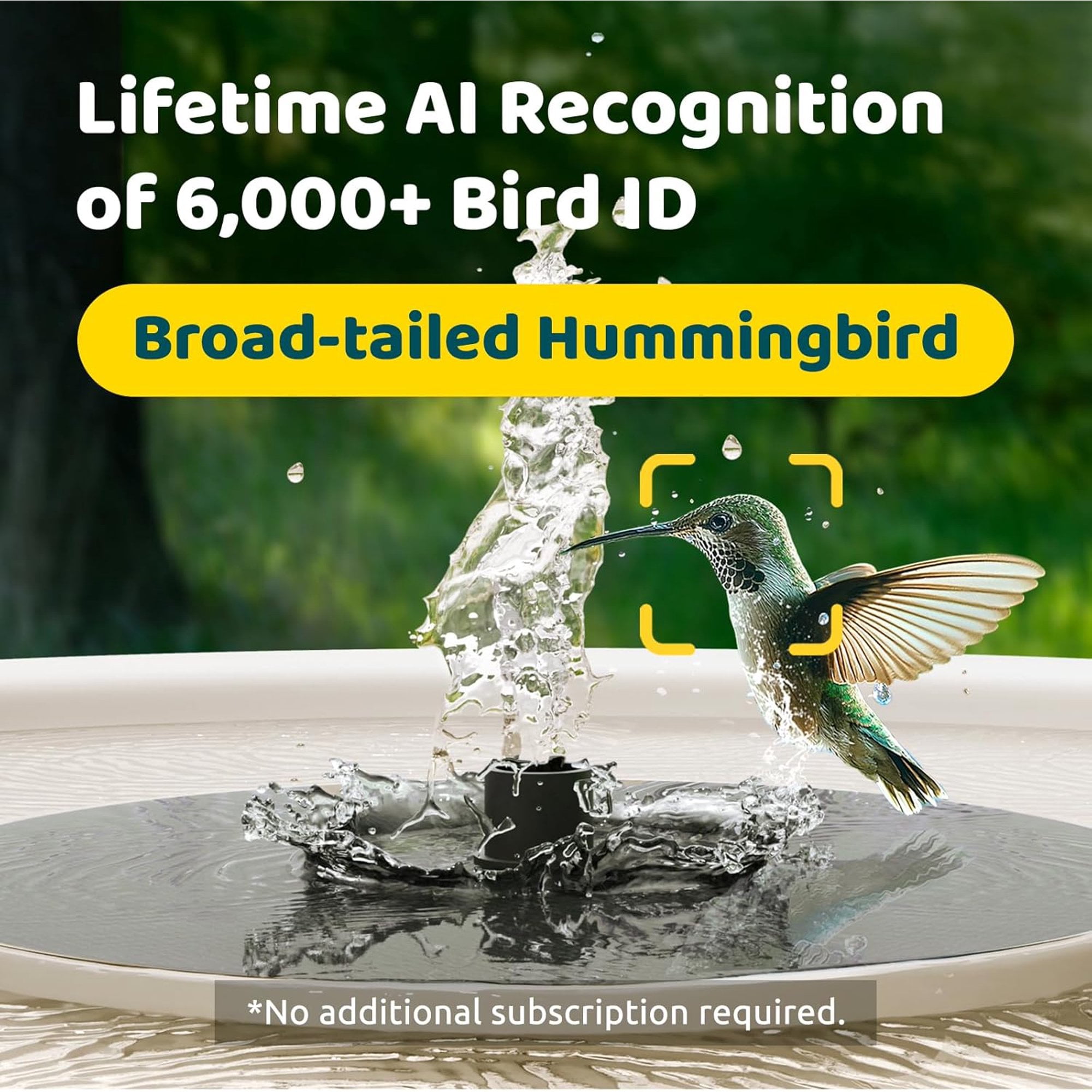 Birdfy Smart Bird Bath with Camera,Solar Birdbath for garden,Dual-Lens Fountain Outdoor, AI Bird Identification & Auto Video Capture with Notification