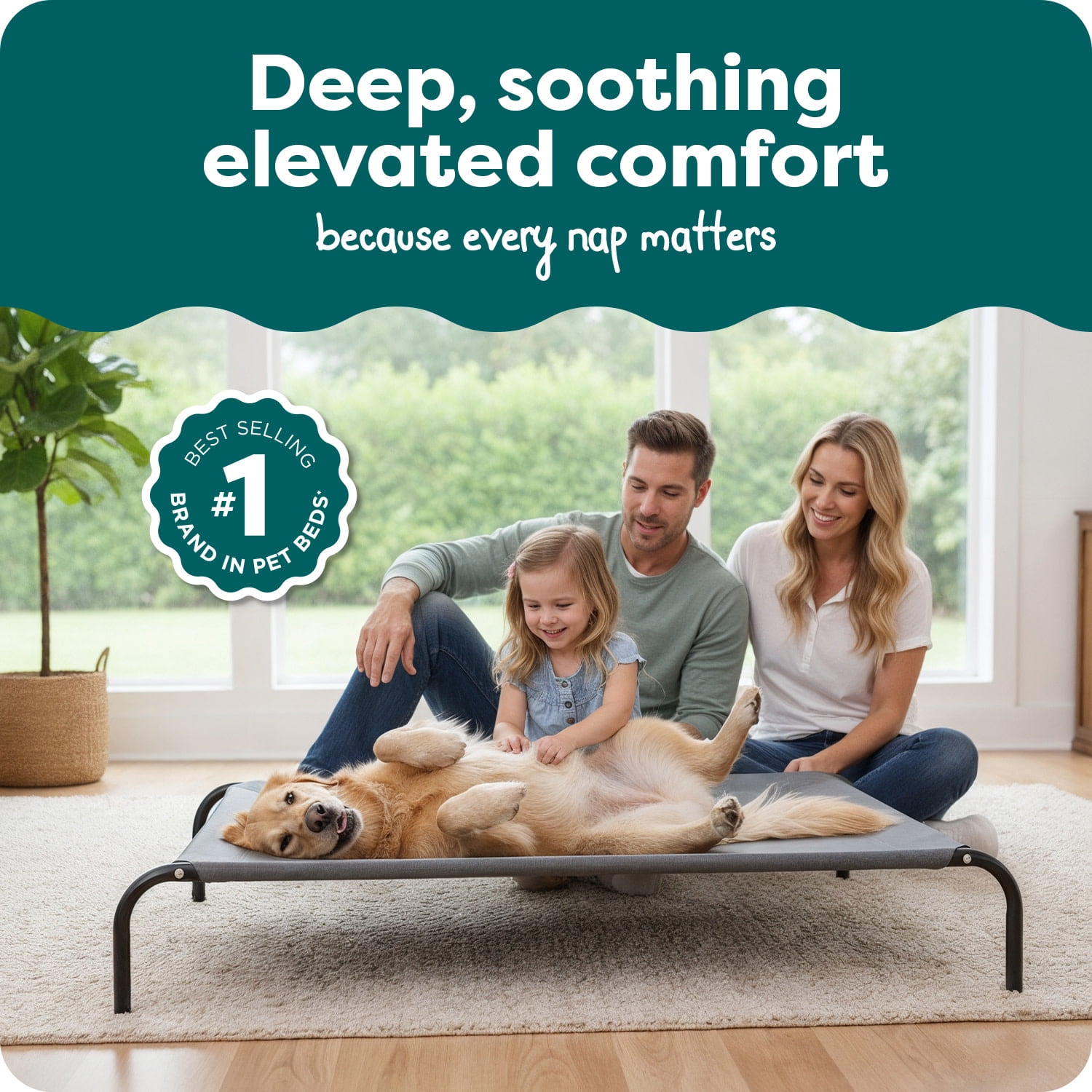 Elevated Cot Pet Bed, Graphite Gray, Extra Large