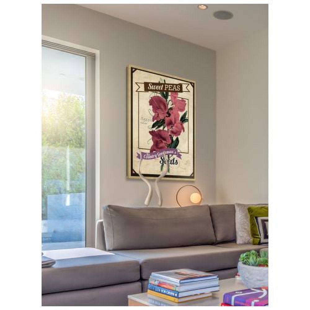 "Flower Packet Sweet Peas" Painting Print on Wrapped Canvas
