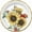 DESSERT PLATES 24 PCS, variant on European Excellency, AUTUMN SUNFLOWERS Dessert Plate, Disposable Floral Party Paper Plates, Summer Party Supplies for Birthdays, Weddings, Showers, and Other Events, Sunflower Theme - 7 inch (24pcs)