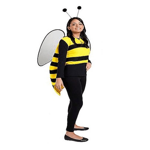 Bumblebee Wings Adults Fancy Dress Animal Insect Ladies Mens Costume Accessory 
