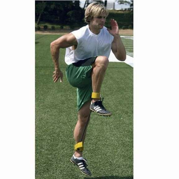 SSN 1333893 Premium Lateral Resistor - Heavy