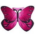 thumbnail image 1 of Pet Costume Butterfly Wing Realistic Kitten Clothes Dog Apparel for Halloween, 1 of 10
