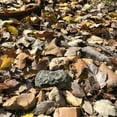 thumbnail image 2 of Hide-a-Spare-Key Fake Rock - Looks & Feels Like Real Stone - Safe for Outdoor Garden or Yard, Geocaching (Type A - Black), 2 of 6