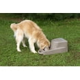 thumbnail image 3 of Dakota 283 Dash 5.0 Dog Bowl Watering System - Orange, 3 of 4