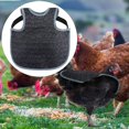thumbnail image 1 of Funda protectora para silla de montar de pollos, delantal para pollos, gallinas, apareamiento, protector de espalda, delantal para gallinas, granjas, Azul profundo, 1 of 9