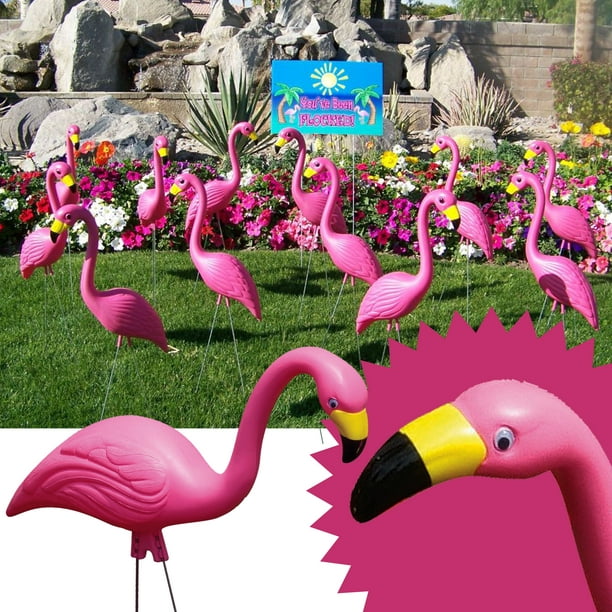 Bloem Pink Flamingo 25 Statue 12 Pack Walmart Com Walmart Com - flamingo rust 010 song roblox id full