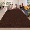 thumbnail image 1 of 6x9 Ft Brown Area Rug for Bedroom Living Room,Washable Soft Shaggy Fluffy Large Chocolate Rugs,Non Slip Fuzzy Furry no Shedding Thick Big Carpets for Nursey Kid Girl Boys Teen Home Chritmas Decor, 1 of 7