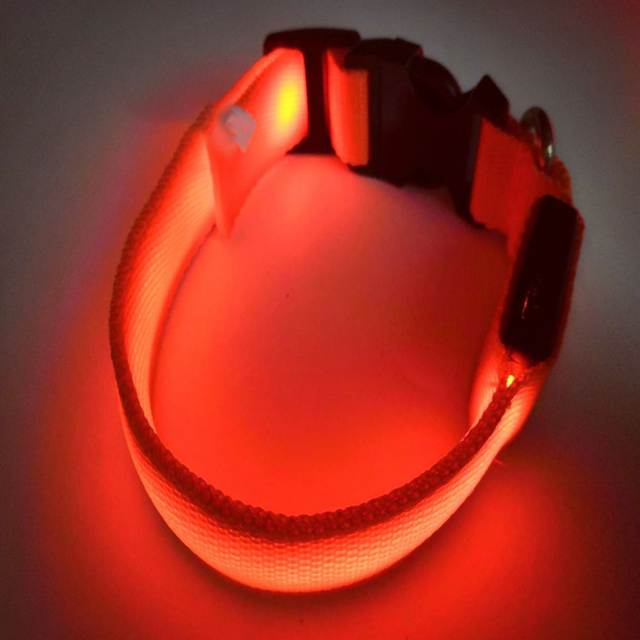 Collar luminoso LED recargable para perros, collar luminoso reflectante ajustable
