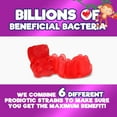 thumbnail image 5 of Probiotics for Kids 5 Billion CFU - Natural Immune Support & Digestive Health Supplement - Daily Children's Probiotic Gummy for Ages 4+ Vegan, Gluten, Soy & Dairy Free - Berry Flavored - 60 Gummies, 5 of 10