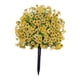 thumbnail image 4 of Comida Griaggio de Floore Fracaso ártico Facuri Verderio Abbrubi Accesorios de jardín amarillo, 4 of 9