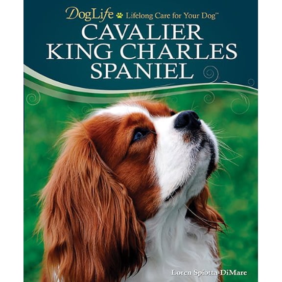 Pre-Owned Cavalier King Charles Spaniel (Doglife) Paperback