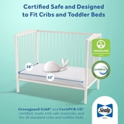 Sealy Butterfly Premium Firm Foam Crib Mattress and Toddler Mattress, Hospital-Grade Cover