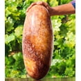 thumbnail image 4 of Polished Crystal Lingam Golden Quartz Huge 410mm / 40.6lbs, Shivling for Healing Stone & Spiritual Home Decor, Sacred Crystal Gift Chakra Balancing, Serene Energy Enhancer for Yoga & Reiki, 4 of 5