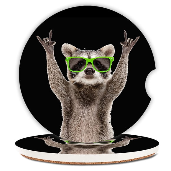 Funny Raccoon Absorbent Cup Holders Car Coasters,Ceramic Stone Drinks Coaster Set for Women Man 2.56"(2 Pack)