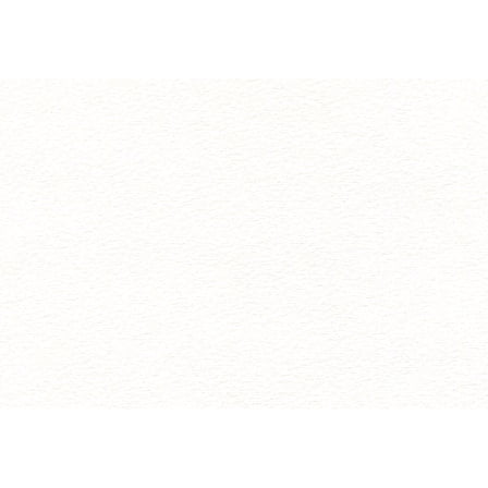 Canson XL Watercolor Sheet Cold Press 22"X30"-90lb