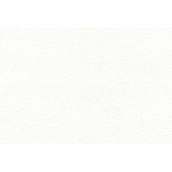 Canson XL Watercolor Sheet Cold Press 22"X30"-90lb