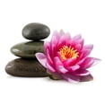 thumbnail image 2 of Flower Lotus and Zen Wall Decal by Wallmonkeys Peel and Stick Graphic (18 in W x 12 in H) WM302598, 2 of 4