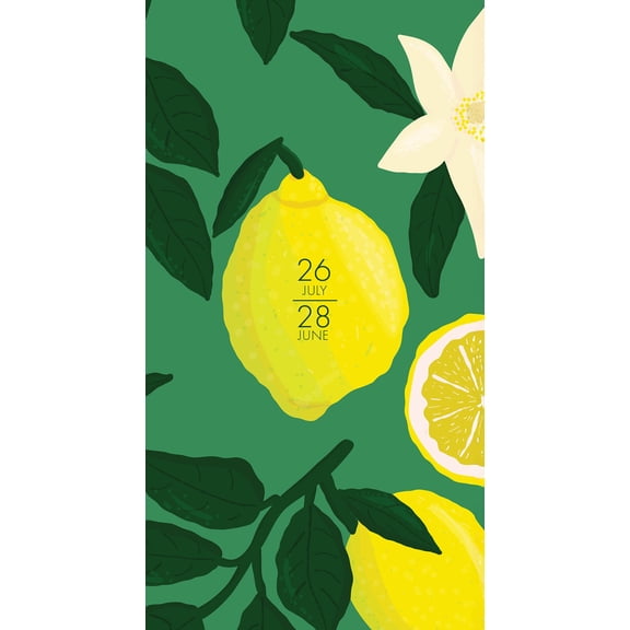 2026-2028 Willow Creek 3.5" x 6.5" Academic Monthly Planner, Plastic Cover, Lemon Fresh (64900X)