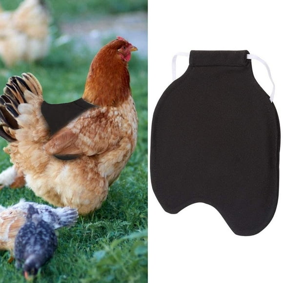 QUETO Selles de poules, tabliers de protection volailles, pulls de poules, selles de poules, protégez vos poules des picorages 20*19.5cm