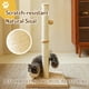 thumbnail image 3 of Rascador para gatos MeoWhomm, 32 cm de alto, para gatos de interior, 3 of 6
