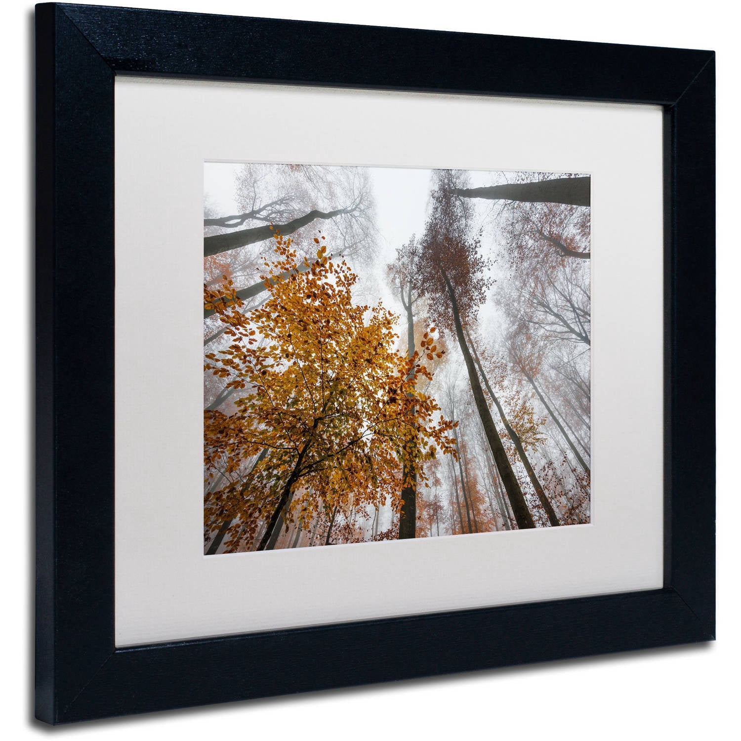 Trademark Fine Art "Daydreamer" Canvas Art by Philippe Sainte-Laudy White Matte, Black Frame