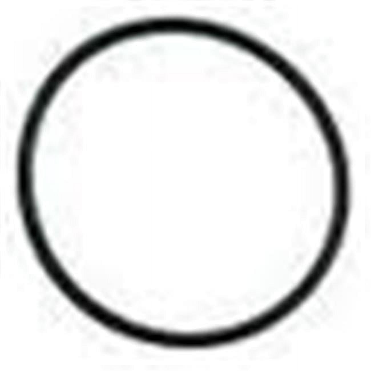 O-Ring Dichtung 24850-0009 Für Pentair Sta-Rite Poolfilter – Passend Für S8M500, S8S70, S8D110