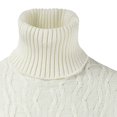 thumbnail image 4 of ZKCCNUK Autumn And Winter New Leisure Daily Commuting Trend Persality Solid Color High Neck Men's Sweater, 4 of 4