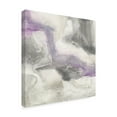 thumbnail image 2 of Trademark Fine Art 'Shades of Amethyst I' Canvas Art by Chris Paschke, 2 of 3