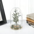 thumbnail image 2 of Plymor 4.5" x 8" Glass Display Dome Cloche with Gold Rim (Gold Rim Glass Tray Base), Pack of 6, 2 of 2