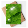 thumbnail image 1 of Condensation Verte Fraîche Modèle Cartes de Voeux Vous Êtes Invités Invitations, 1 of 3