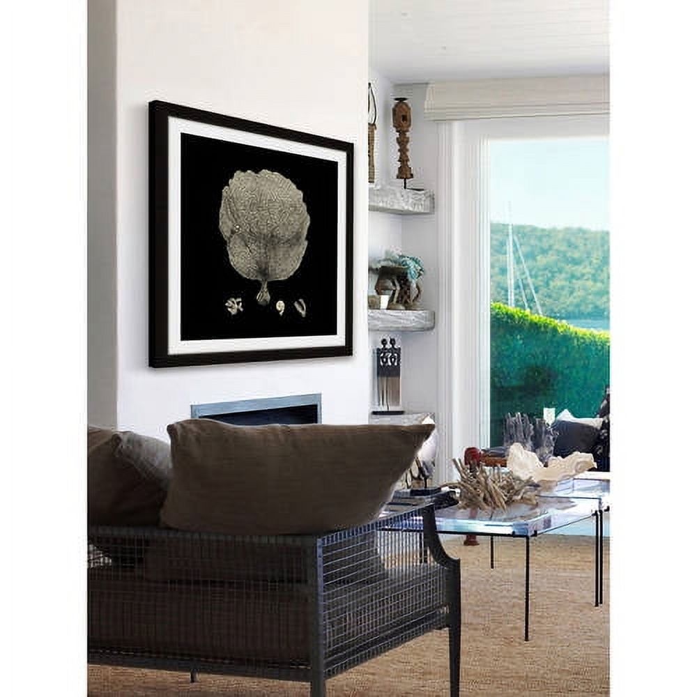 Marmont Hill "Black & Tan Coral II" Framed Painting Print