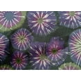 thumbnail image 4 of oneOone Cotton Poplin Dark Green Fabric Batik Craft Projects Decor Fabric Printed By The Yard 42 Inch Wide-XWU, 4 of 4