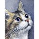 thumbnail image 1 of Wdftyju 5D Diamond Painting Cat Full Round Drill DIY Wall Art Crafts Kits (B4190) Wdftyju 6nw9ty1sz6tv9qg4D01, 1 of 9